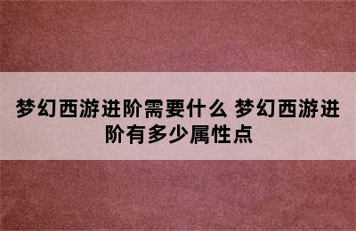 梦幻西游进阶需要什么 梦幻西游进阶有多少属性点